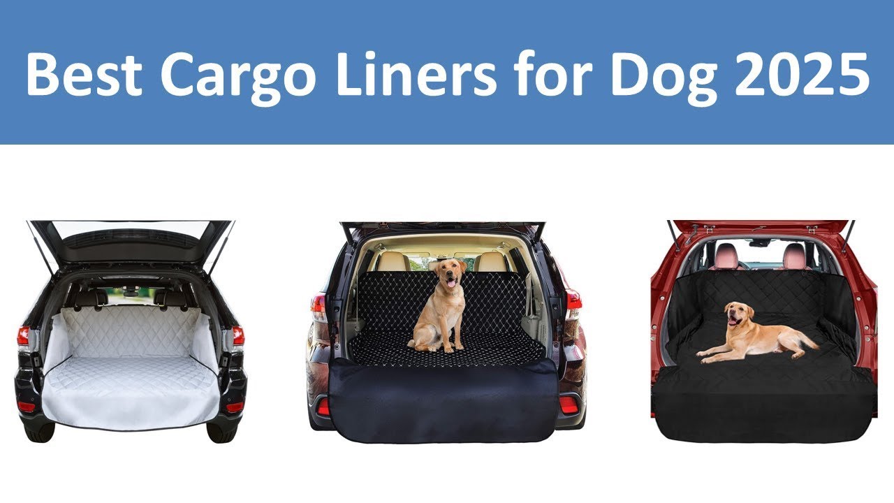 Top 10 Best Cargo Liners for Dog in 2025
