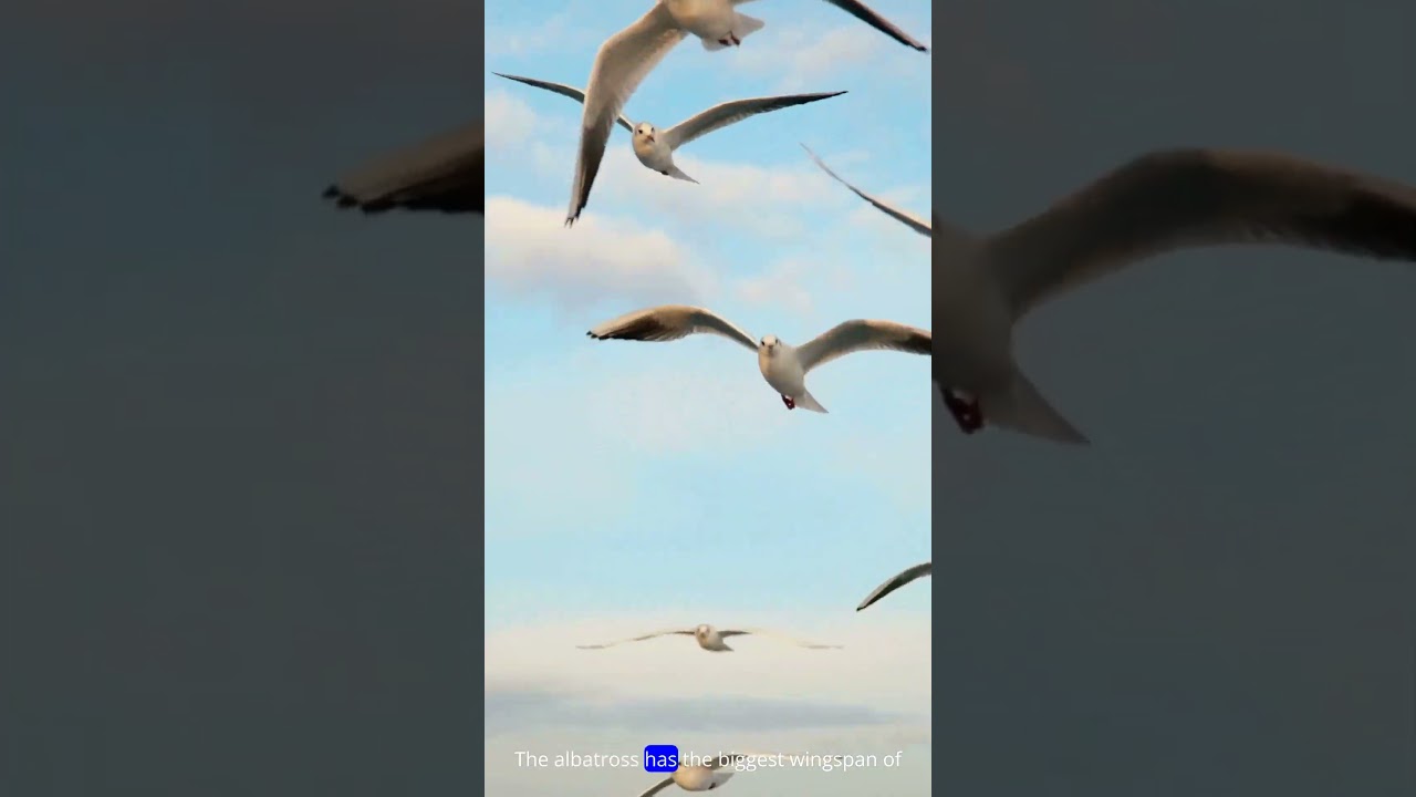 Amazing Facts About Bird  #facts  #curious #curiousfacts #birds #nature