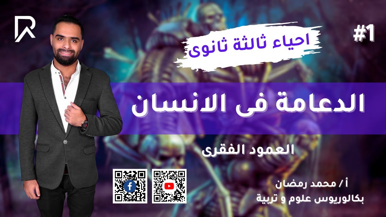 الدعامة فى الانسان ( الهيكل العظمى ) |  ( الهيكل المحورى - العمود الفقرى ) 2024 | احياء ثالثة ثانوى