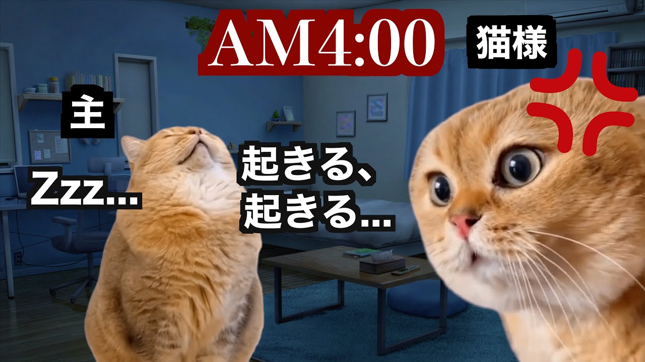 【猫ミーム】猫を飼うと休日がこうなるという、幸せなお話。