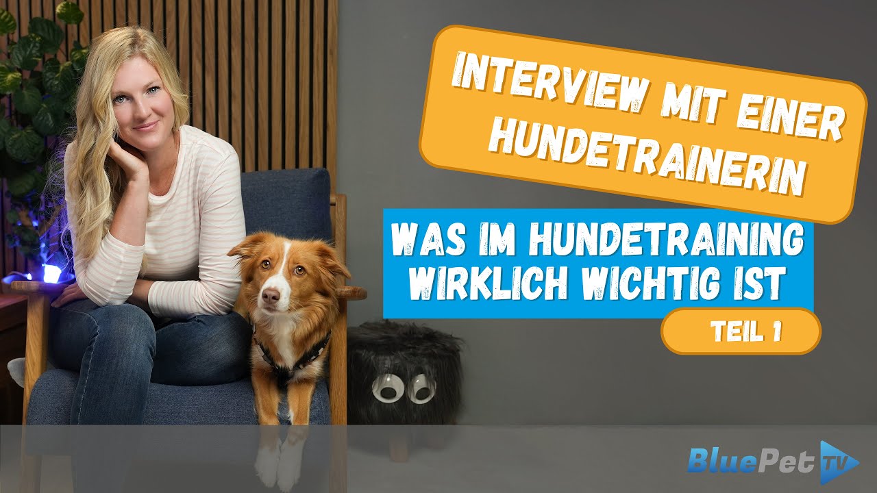 Interview mit einer Hundetrainerin (Teil 1) - Was beim Training wirklich wichtig ist | BluePet TV