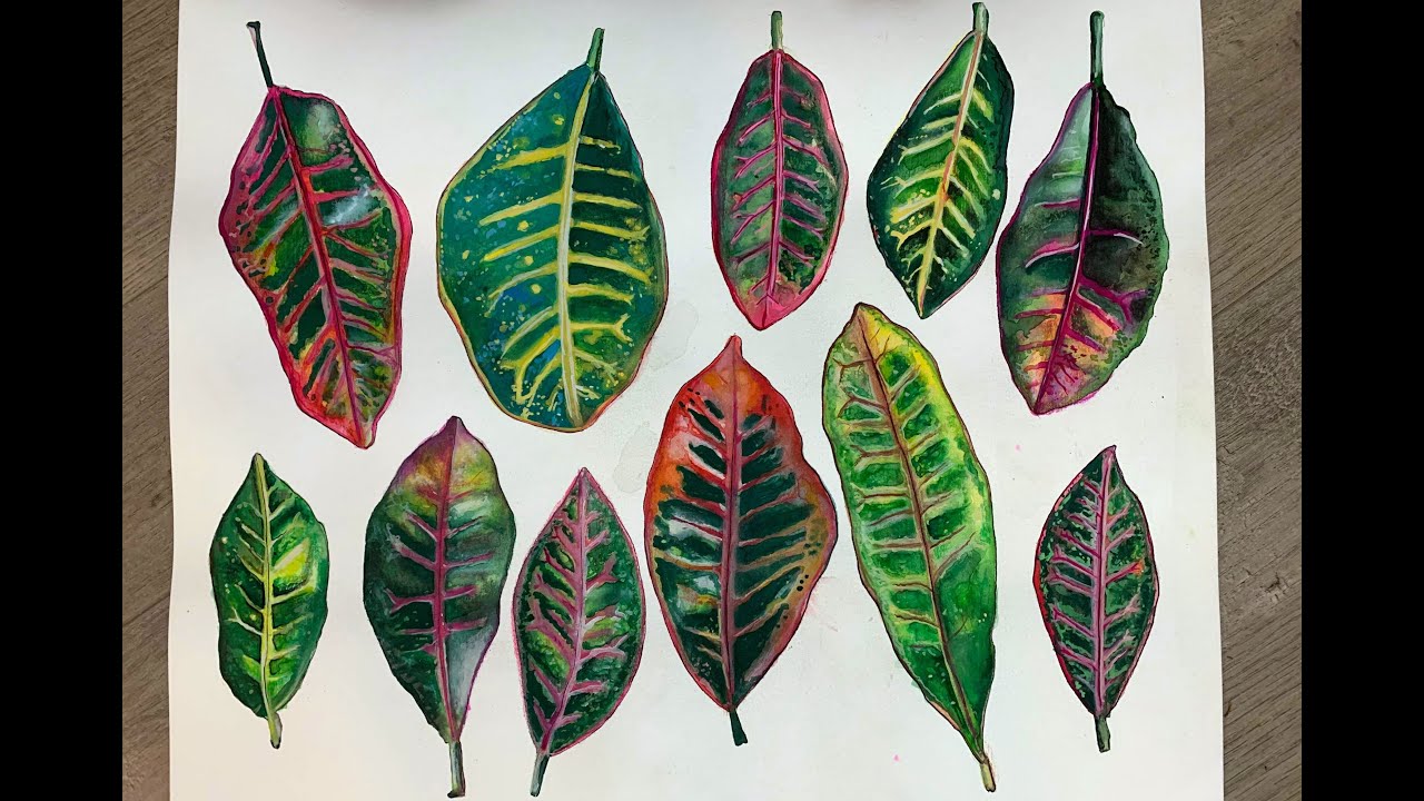 How to Paint Croton leaves / Watercolor Botanical / Watercolor and Gouache Painting