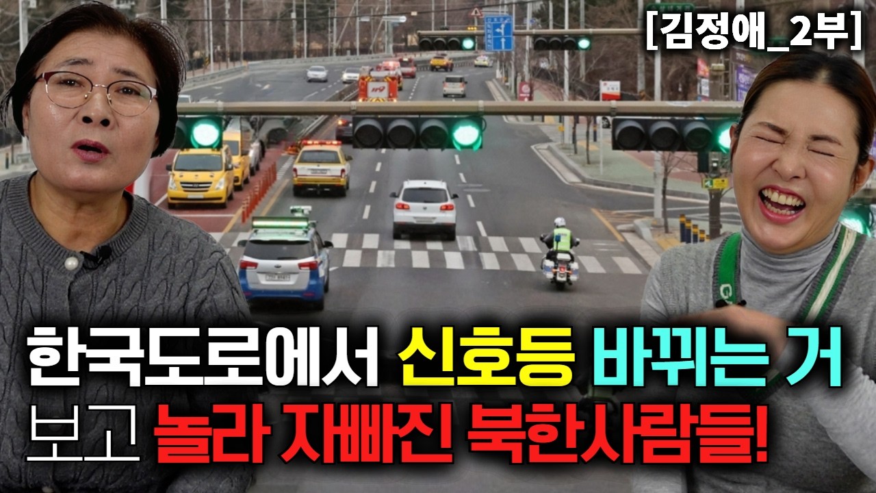 한국 도로에서 신호등이 바뀌는 거 보고 놀라 뒤집어진 북한사람들! [김정애_2부]