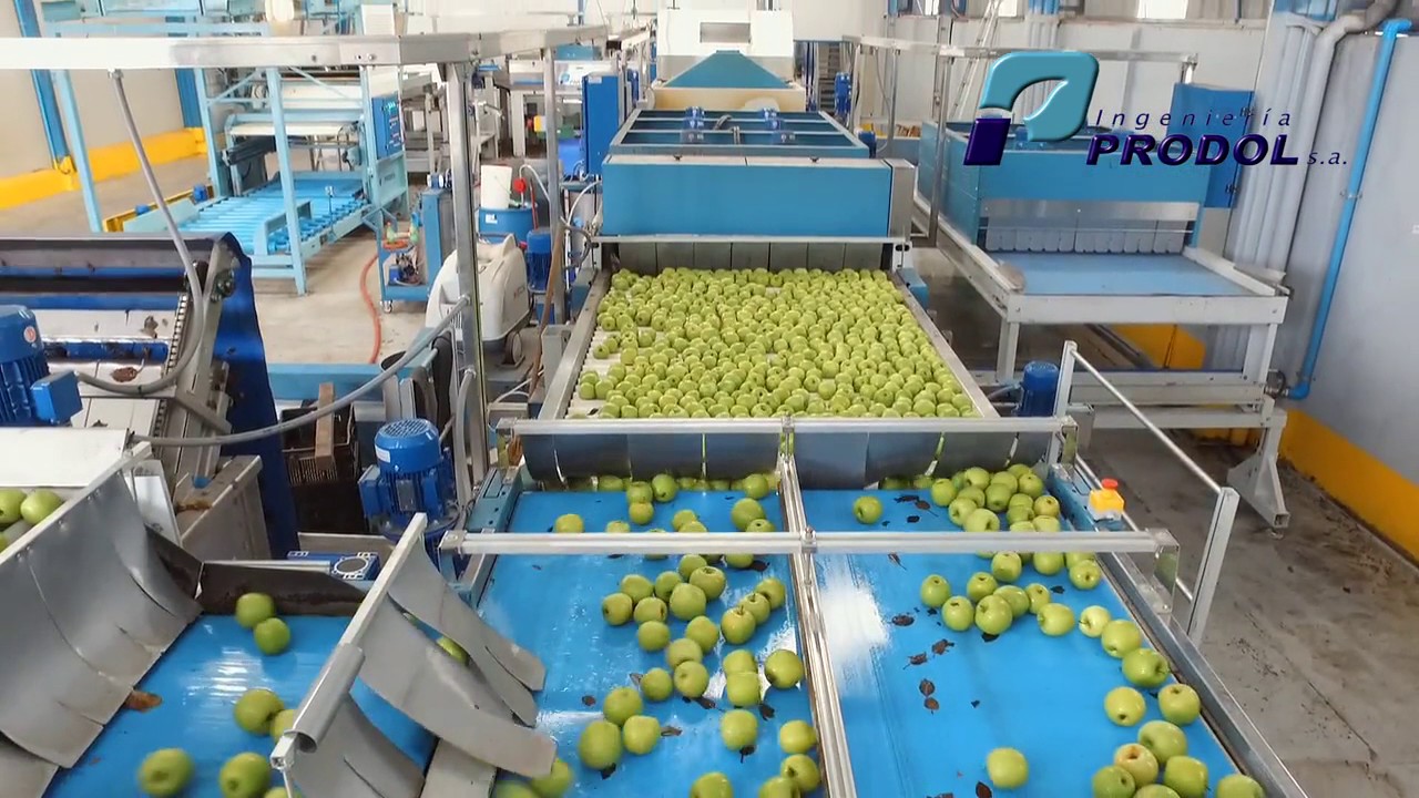 PRODOL MANZANAS CHILE