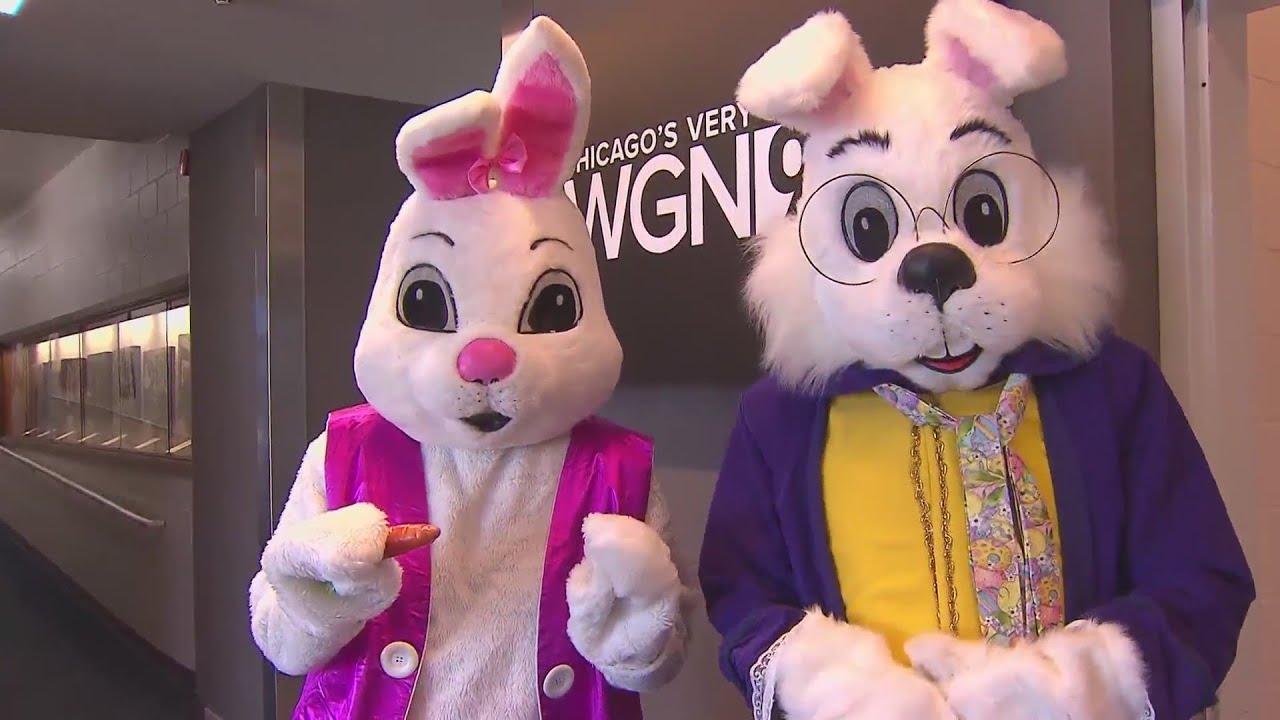 Easter Bunnies visit WGN