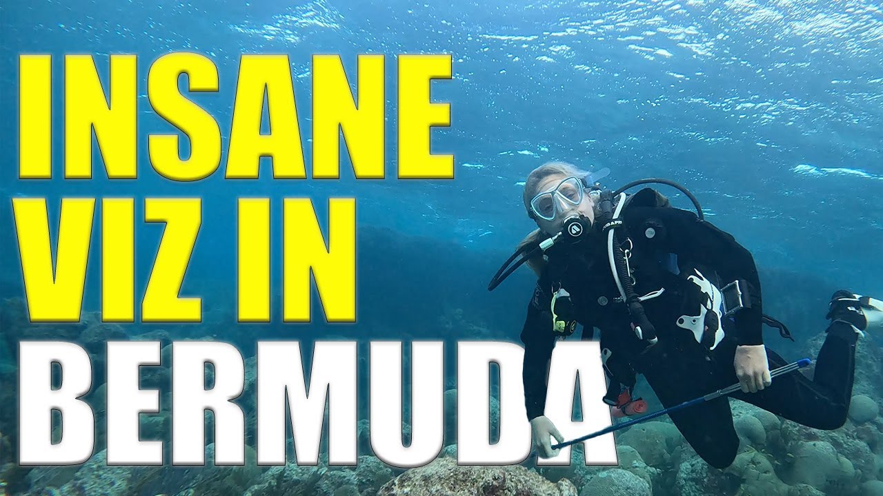 Bermuda Bliss: Explore Crystal Clear Waters & Stunning Marine Life!