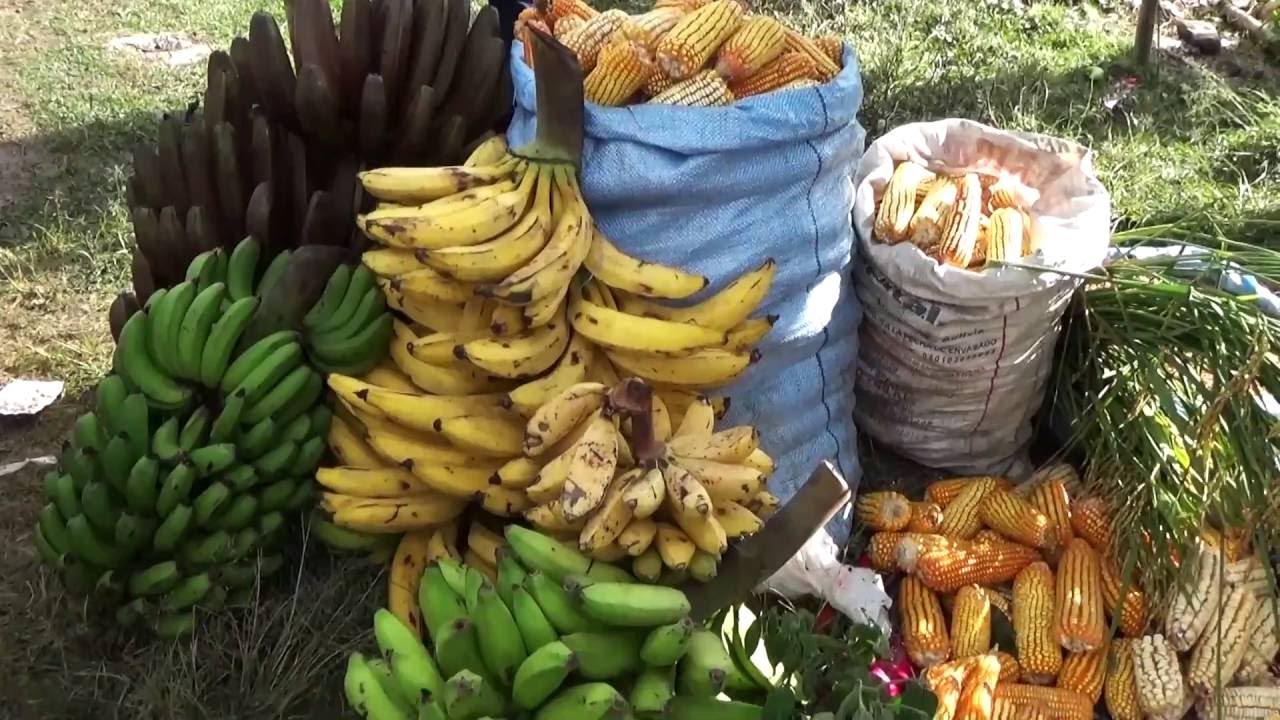 Feria de Frutas en Maravillas,  Cocapata, Cochabamba.