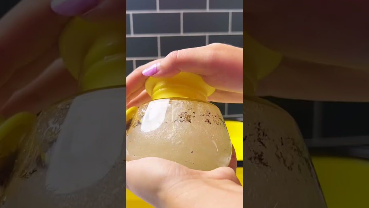 Bong water &rarr; plant water&hellip; circle of life 😮&zwj;💨🌿 - Weeday Cleaning Hacks