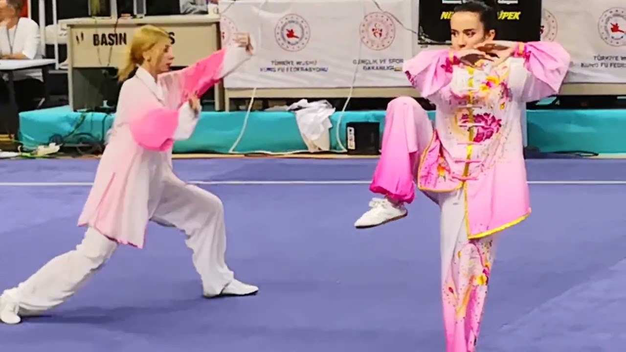 Wushu European Championship, Istanbul 2023.