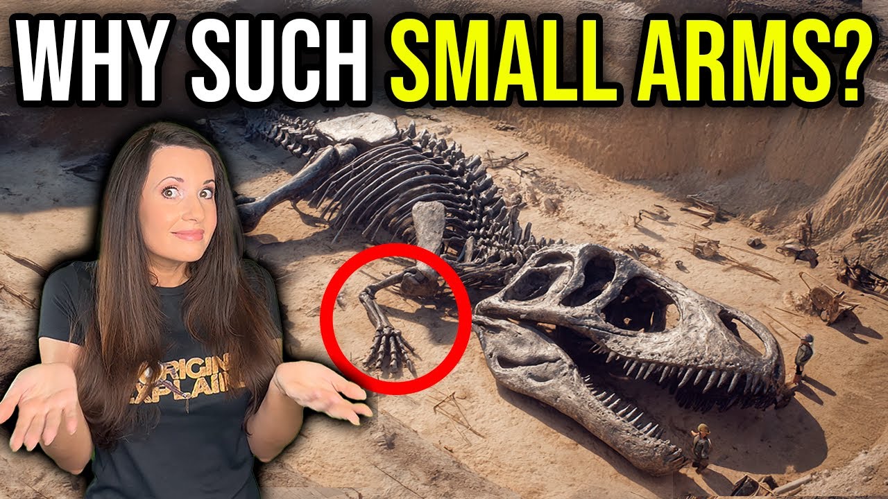 Scientists Found Out Why T-Rex Had Such Small Arms