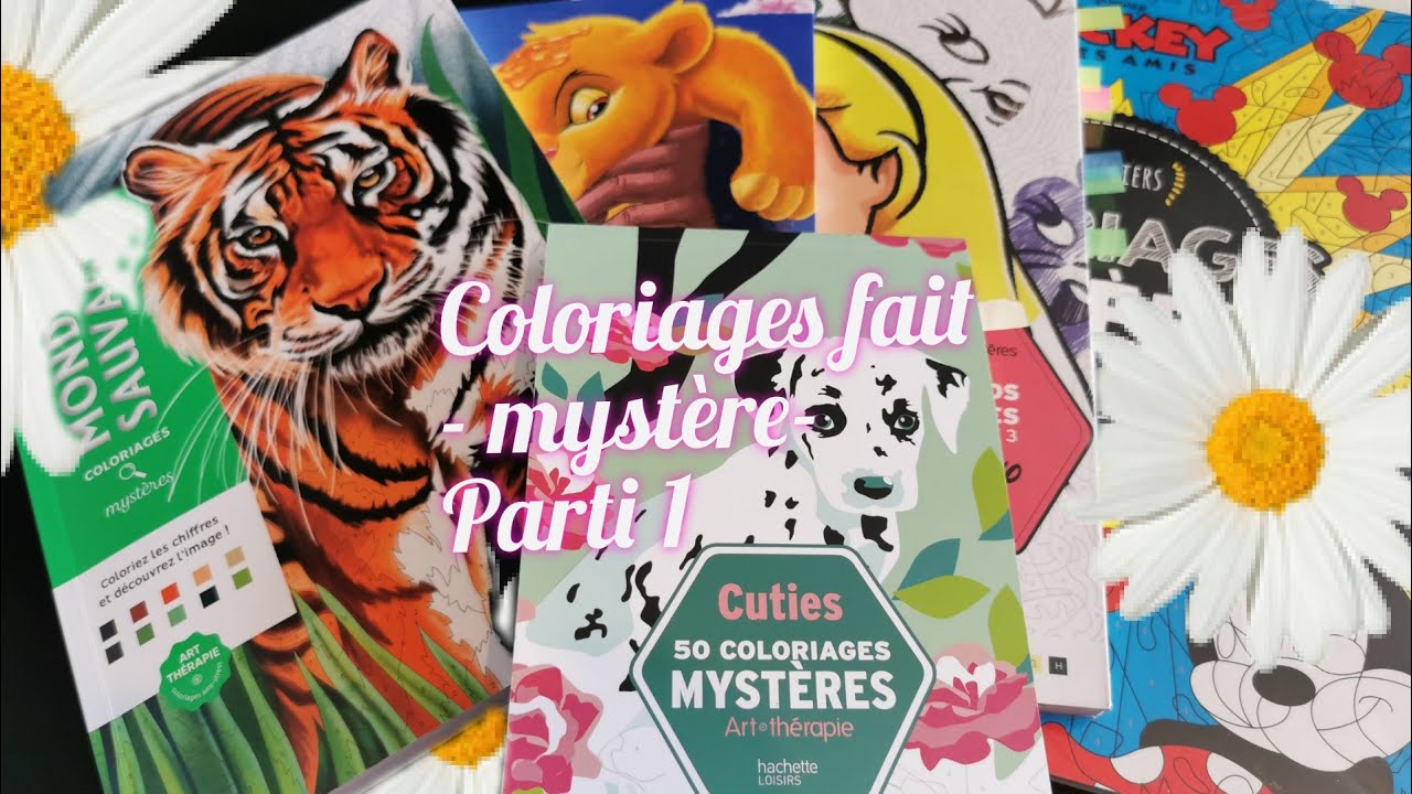 Mes coloriages de fait mystère