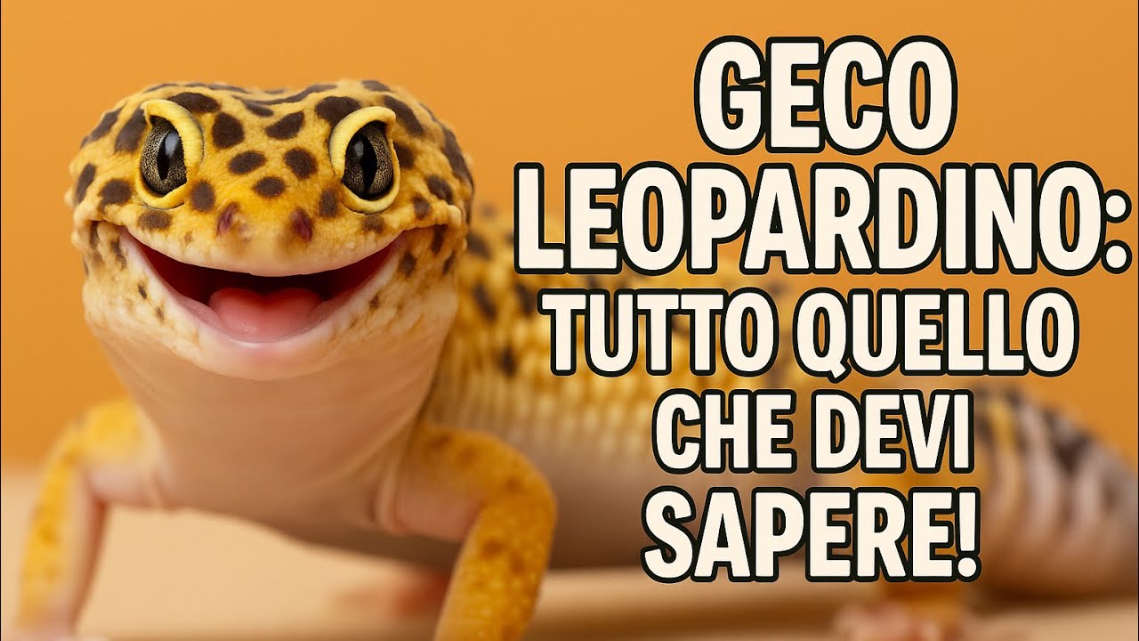 GECO LEOPARDINO: TUTTO QUELLO CHE DEVI SAPERE!