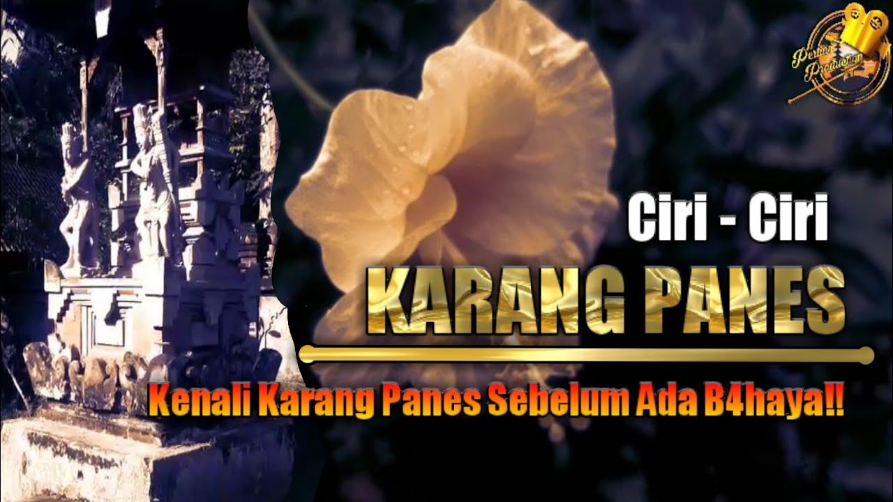 Karang Panes || Ciri - Ciri Karang Panes || Pertiwi Productions
