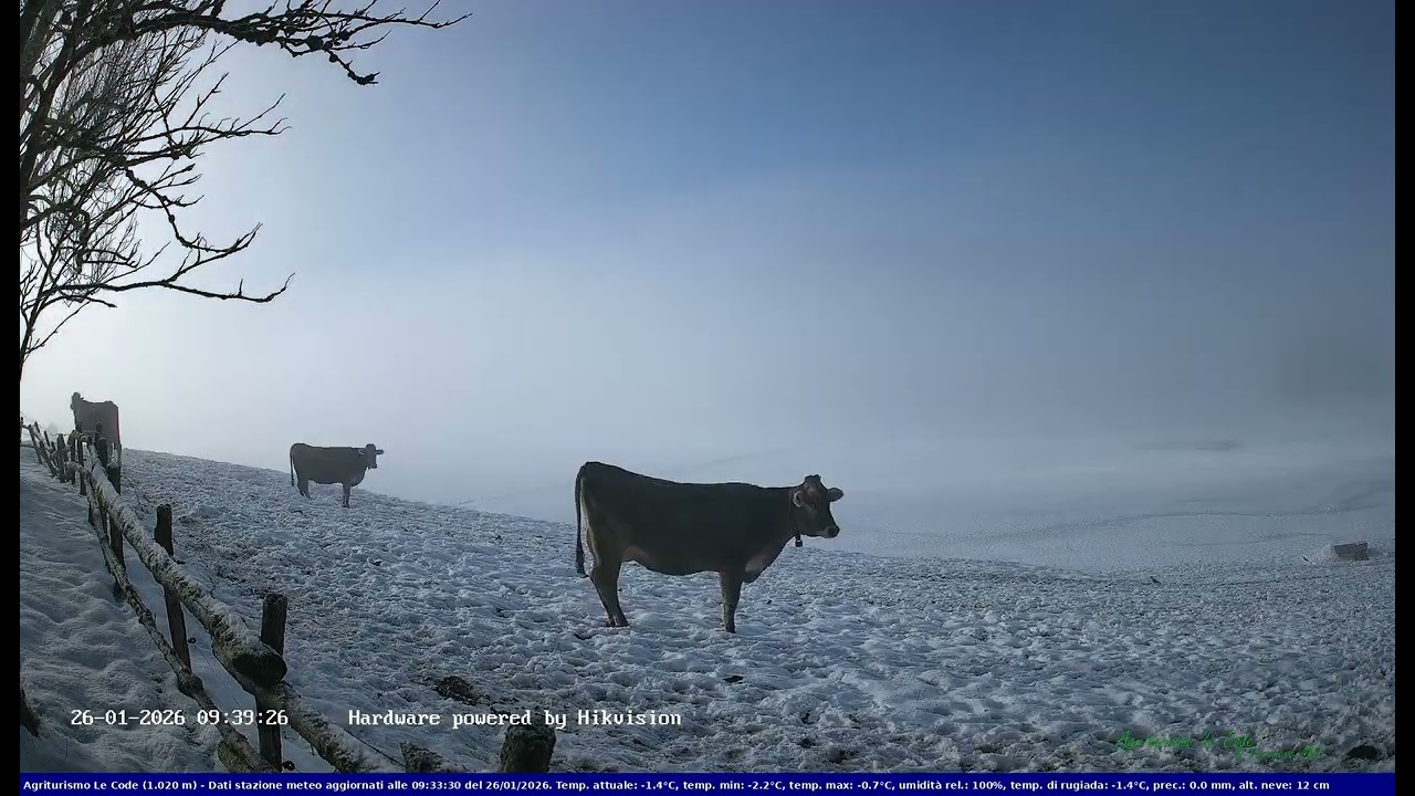 2026-01-26 Webcam Cansiglio - verso la piana dei 