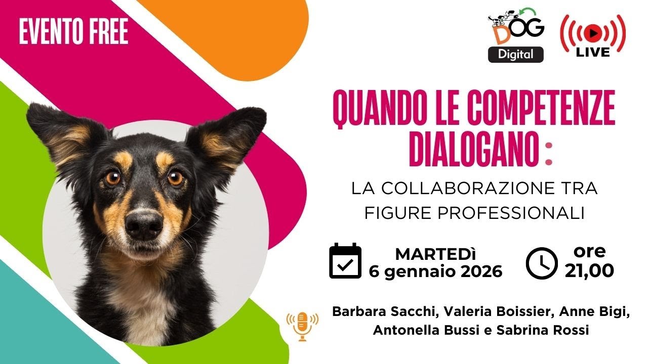 La collaborazione tra figure professionali