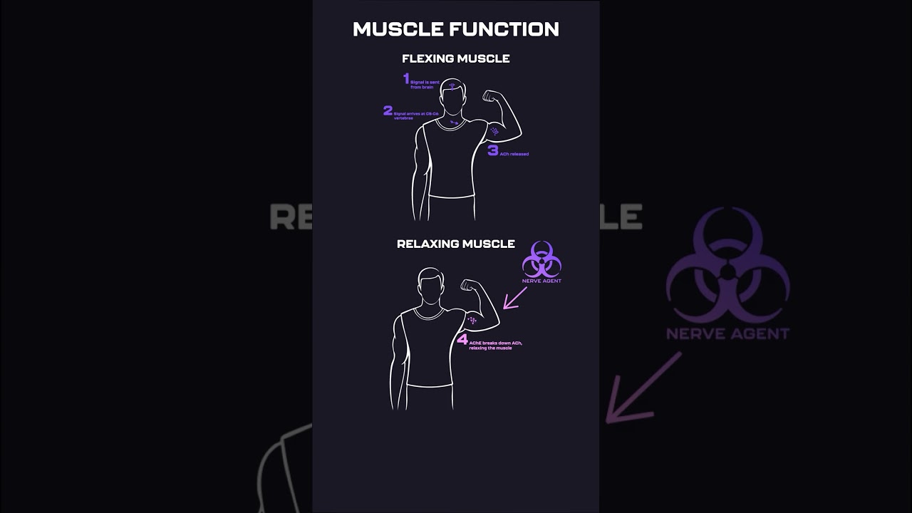 This Is How Nerve Agents KILL 💉🧬