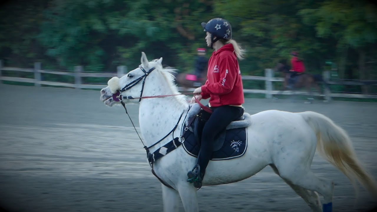 mounted games - italian pairs championships 2020 - PROSECCO DELL' ALBA