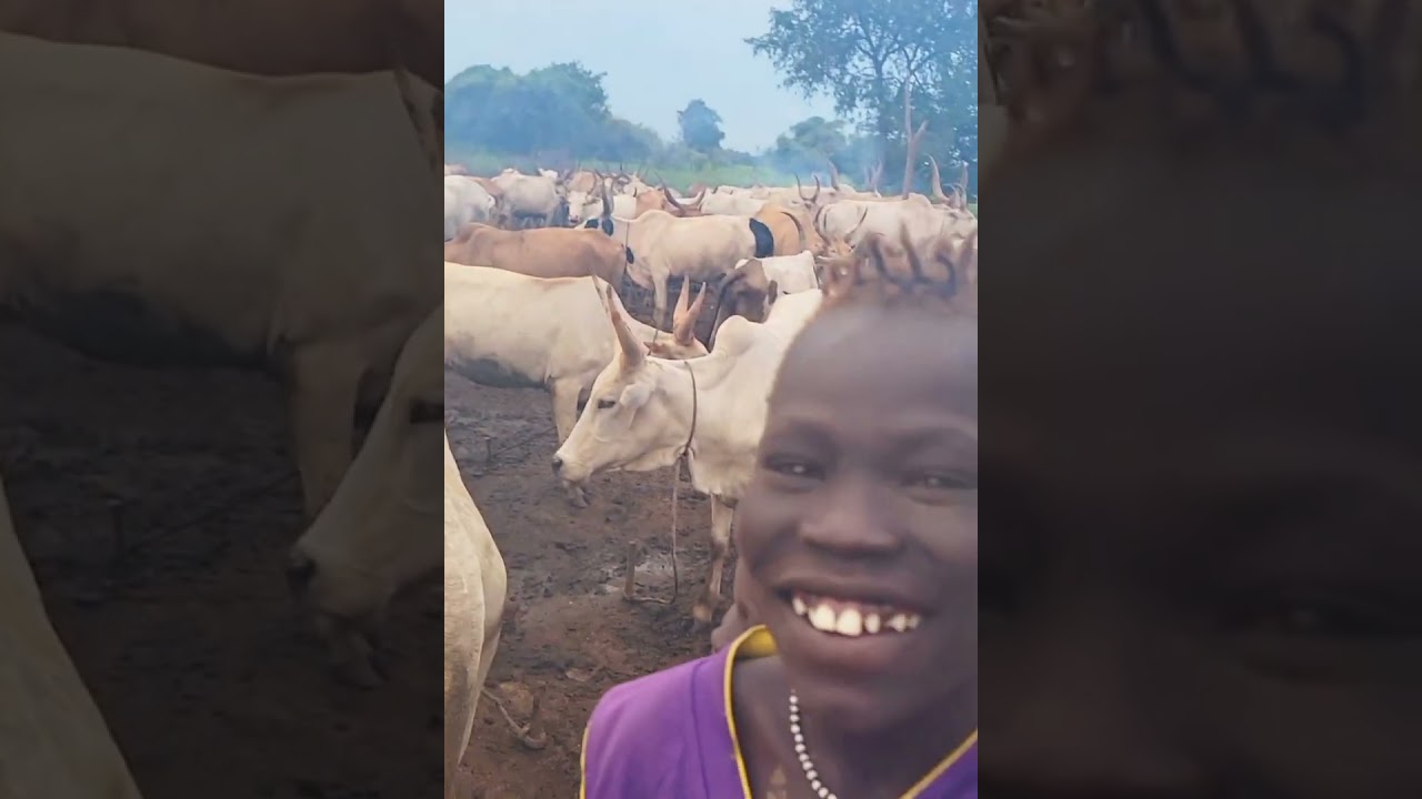 Wong Amit | Dinka Cattle Song by Ayen Mabeet | South Sudan Culture
