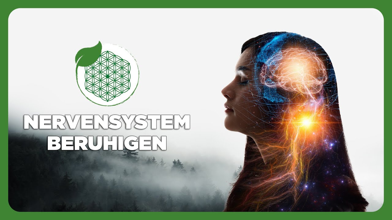 🎧 NERVENSYSTEM & NERVEN BERUHIGEN - INNERE HARMONIE STÄRKEN - VOR NERVENÜBERLASTUNG SCHÜTZEN ✨
