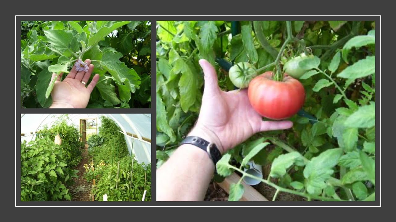 Extending the Growing Season | Harvest WY 2025