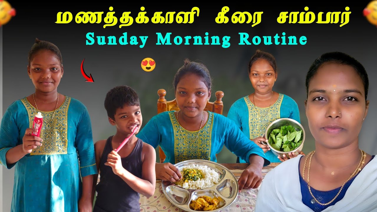 மணத்தக்காளி கீரை சாம்பார் // Sunday Vlog // Sri Cyber Tamizhachi 