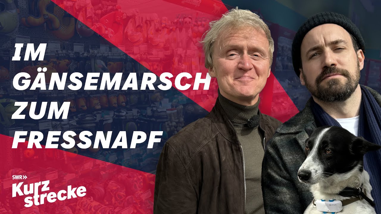 Jan K&ouml;ppen ist im gr&uuml;nen Bereich | Kurzstrecke mit Pierre M. Krause