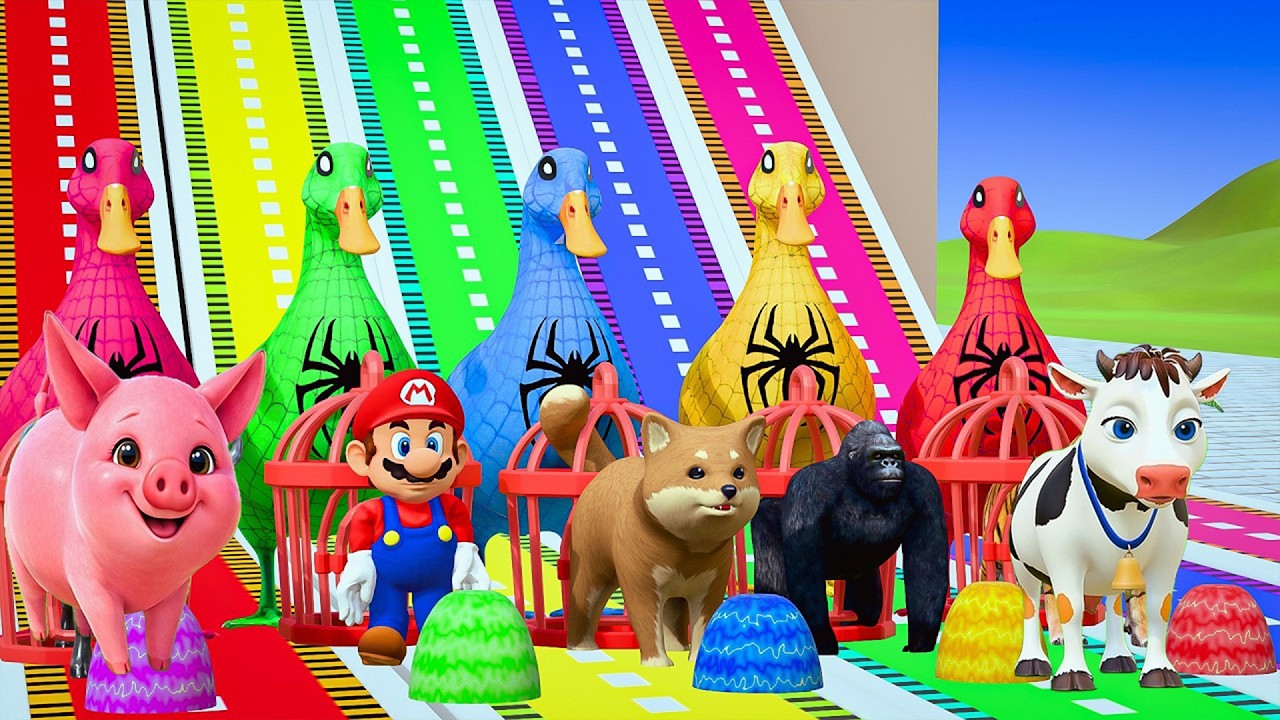 Long Slide Game With Cow Elephant Gorilla Hippopotamus Tiger 3d Animal Game Funny 3d Animals |