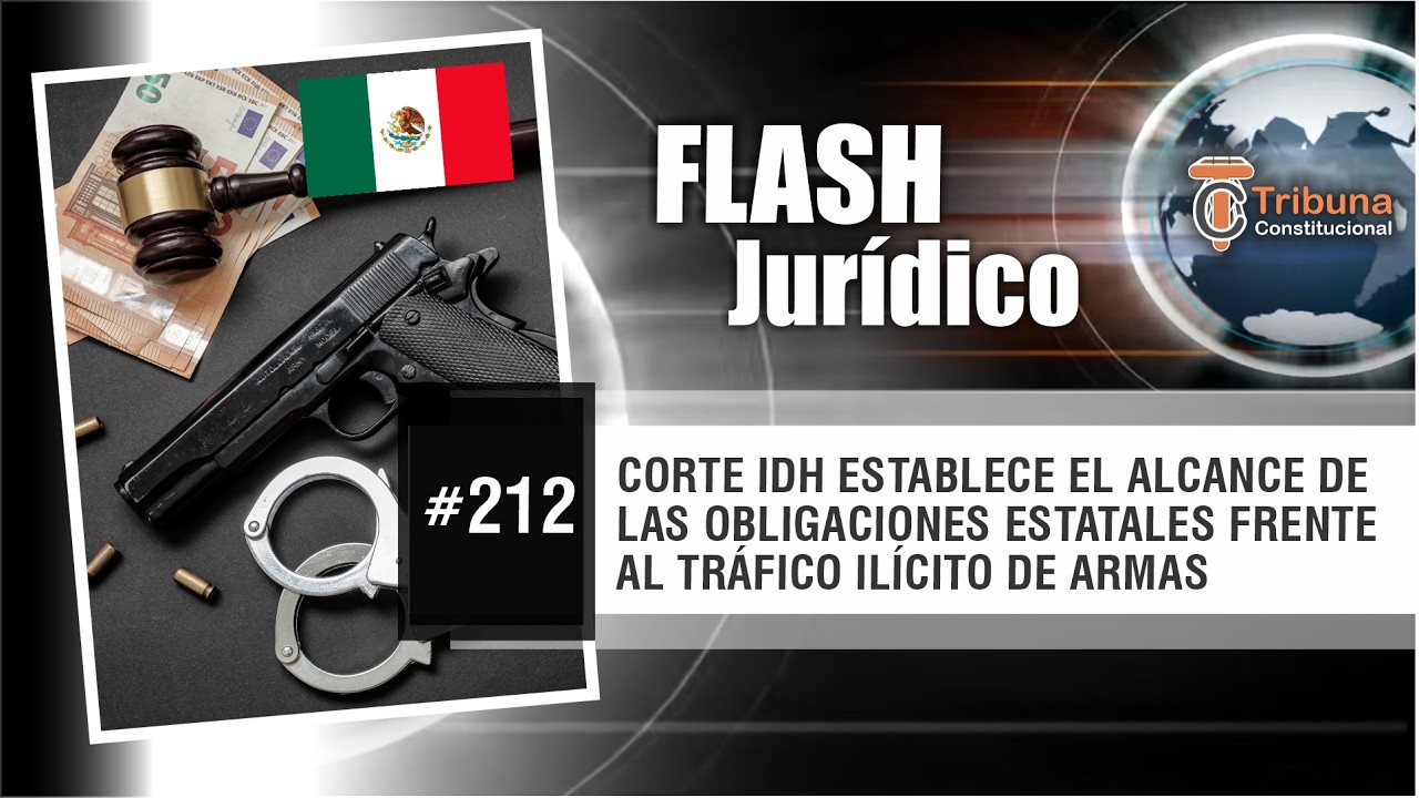Corte IDH establece alcance de las obligaciones estatales frente al tráfico ilícito de armas -FJ 212