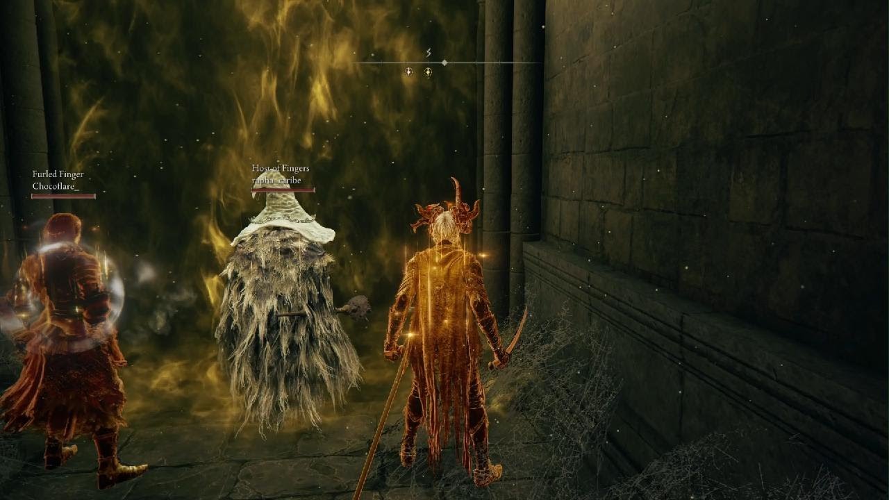 ELDEN RING - Midra VS Jolly cooperation (Prisoner)