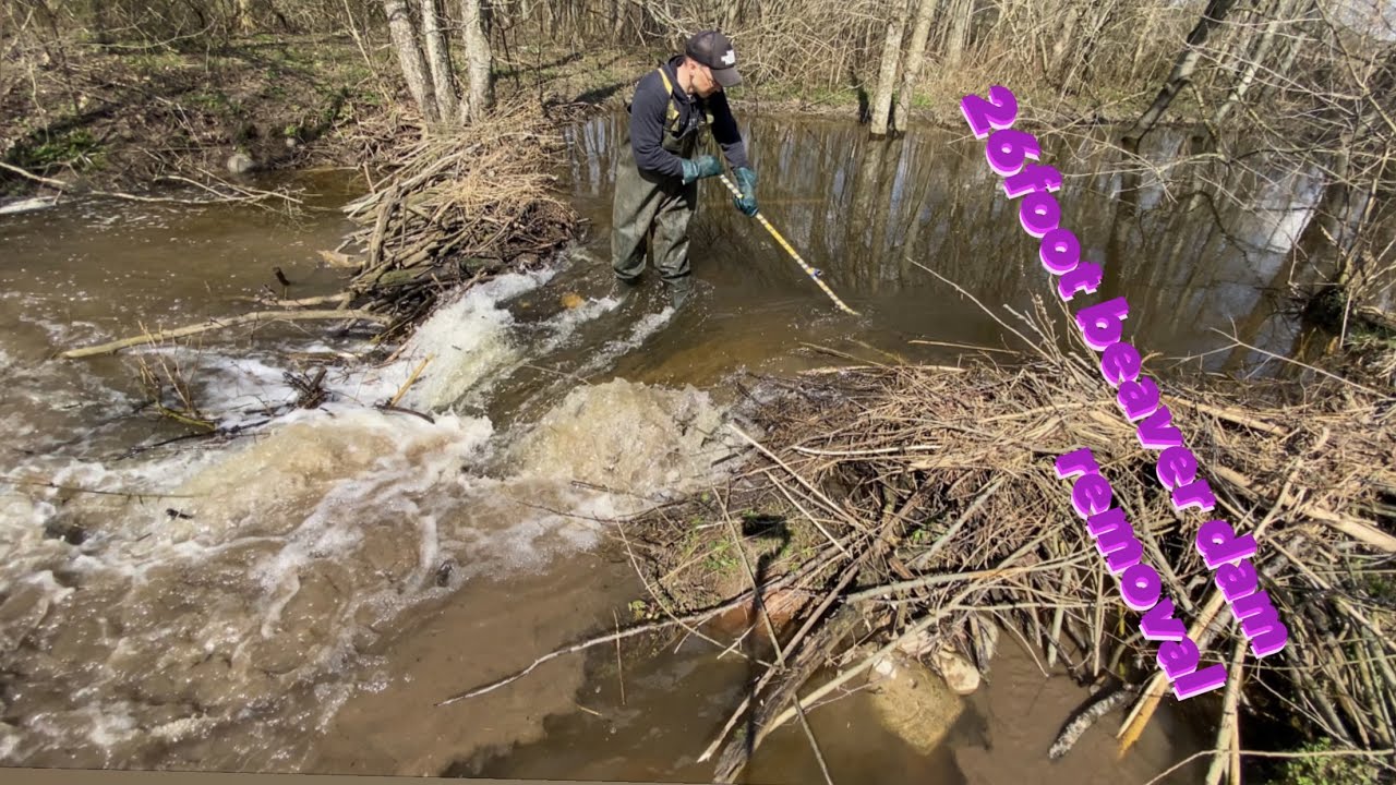 Draining blocked canal. 4 FOOT (1.2m) WATER DROP!