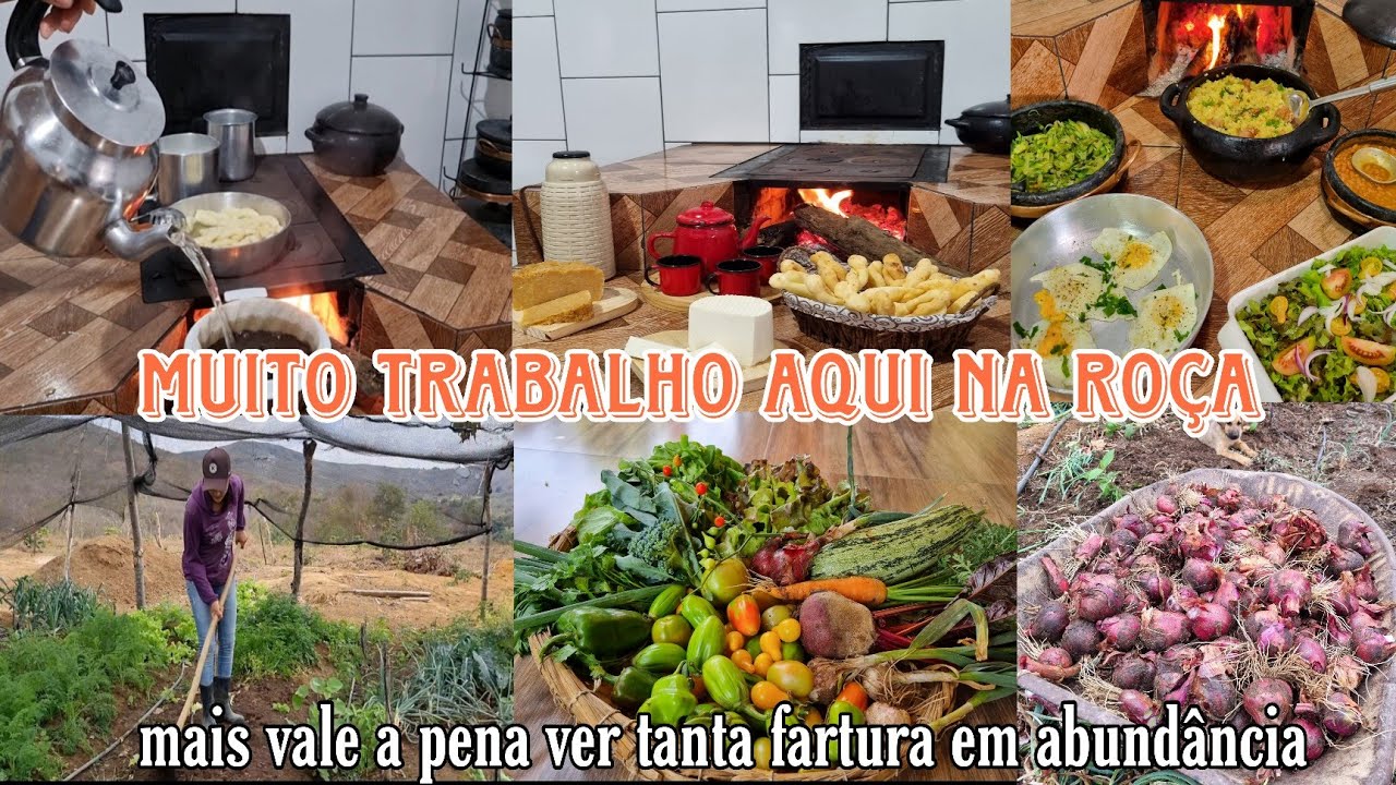 Levantei cedinho, preparei bolinho frito pro café/ fui trabalhar na horta/ fiz almoço fresquinho e +