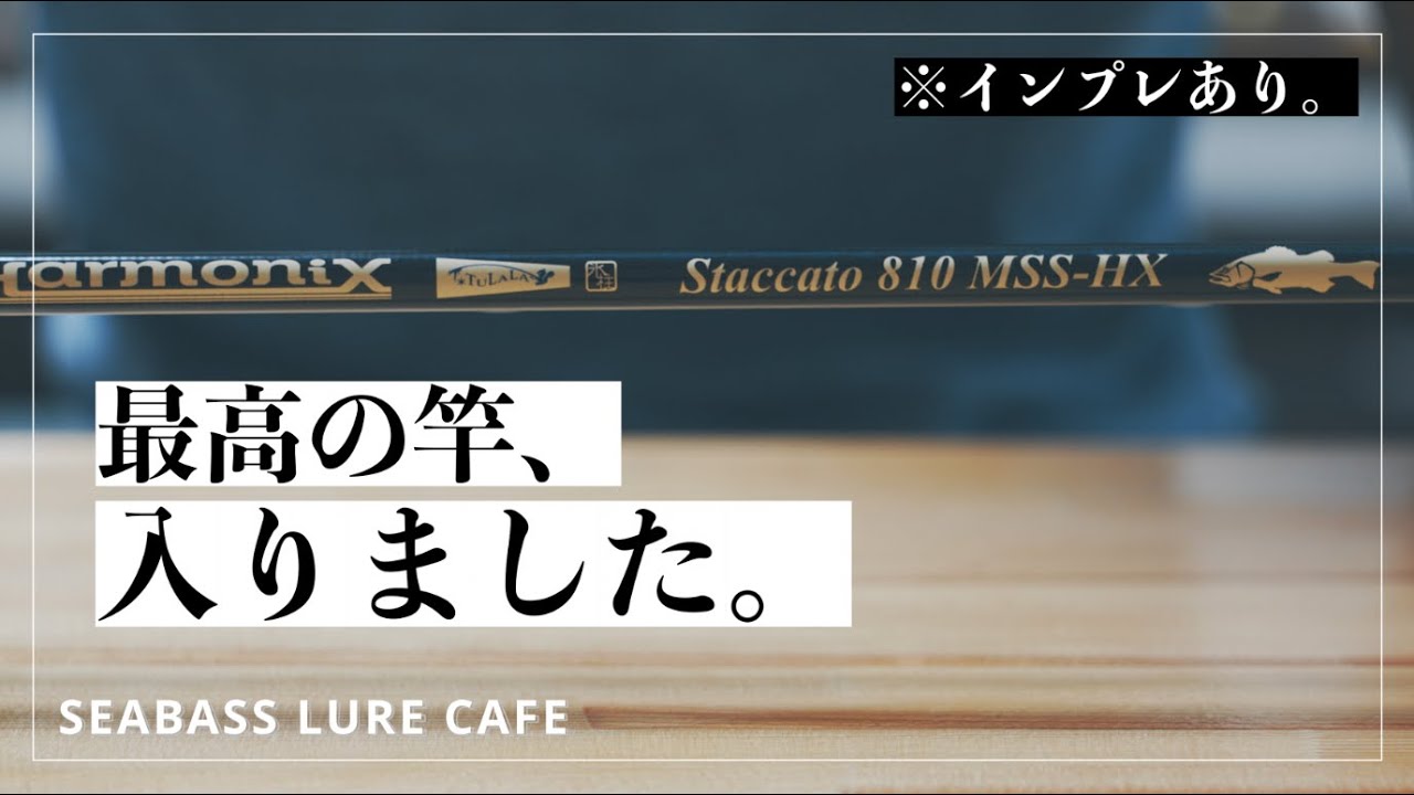【インプレ】TULALAの高級シーバスロッド、Harmonix Staccato 810 MSS-HXを買ってしまいました。。（※超HOTなリールも）【22イグジスト】【ダイワ】