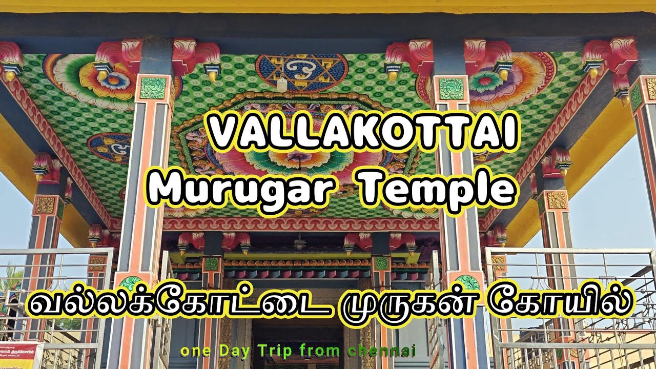 வல்லக்கோட்டை முருகன் திருக்கோவில் 🦚| Vallakottai Murugan Temple | ⚜️சுக்கிரயோகம் தரும்🐓