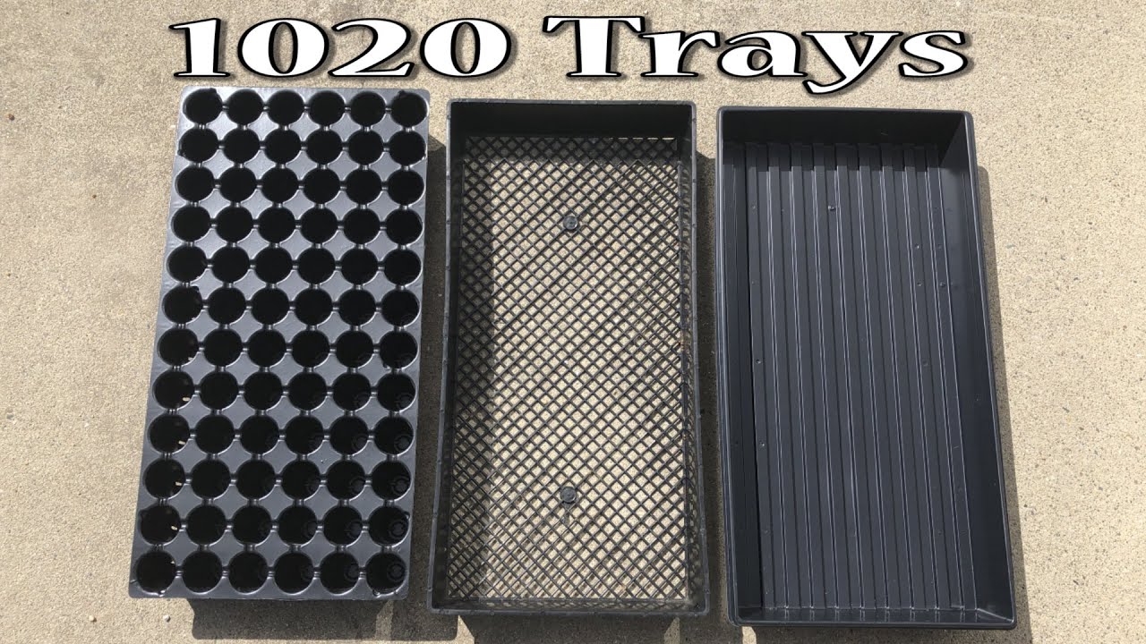1020 Trays