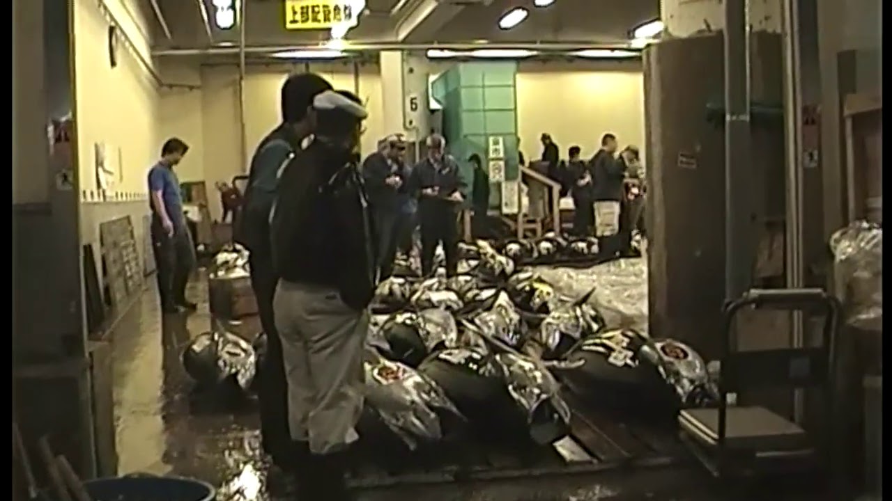Visit to Tsukiji fish market &ndash; Yoshinkan Aikido Senshusei.