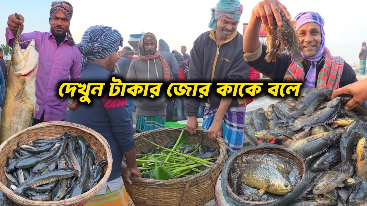 এত দেশীয় মাছ একসাথে!😱 শিং, কই, টাকি, বাইমে ভরা মৈনট ঘাট।। moinot Ghat Dohar.