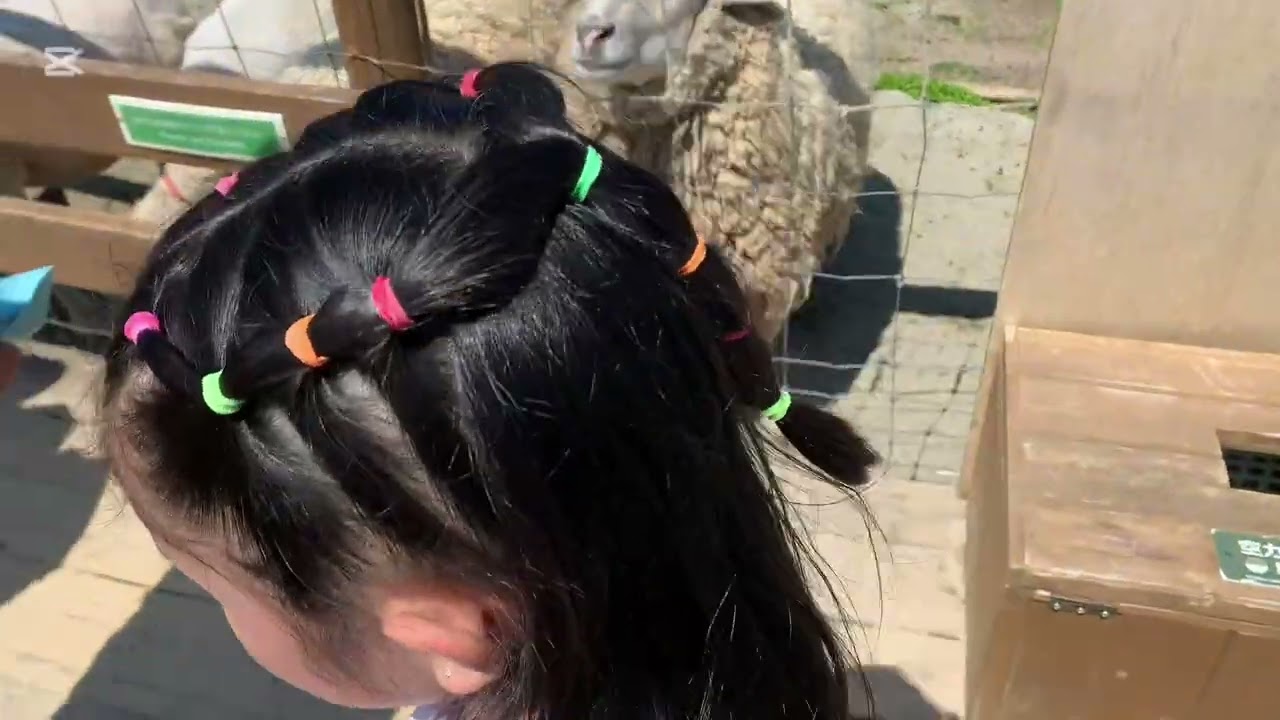 Nasu Animal kingdom (School picnic 05/08)