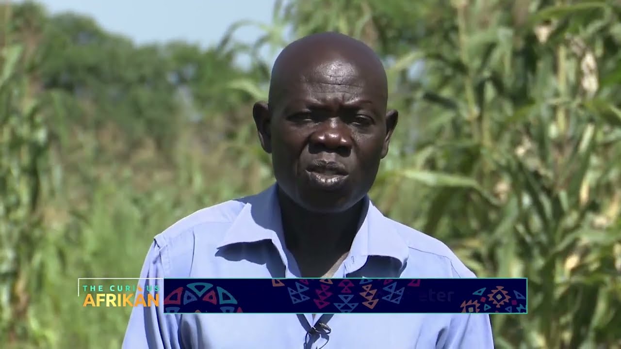 How He Became The Biggest Maize 🌽 Farmer In Northern UGANDA! (#56)