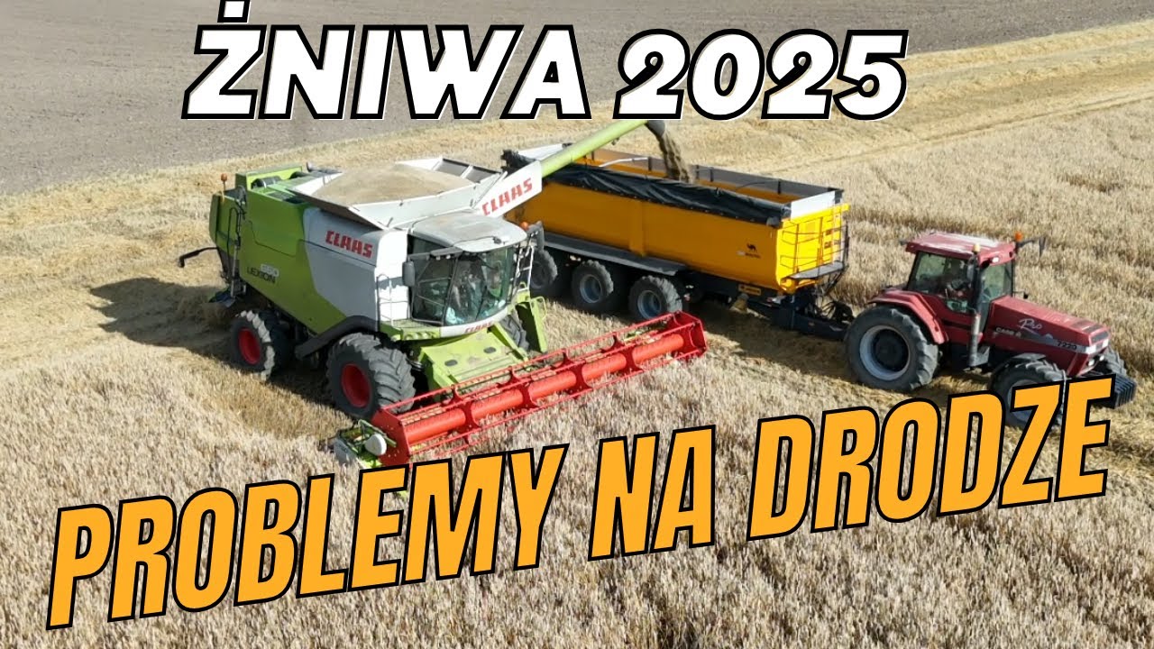 Kosimy żyto. Wystrzeliło koło w drodze. Czech z Wieltonem.