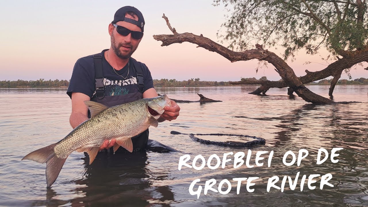Roofblei en Winde op de Grote Rivier