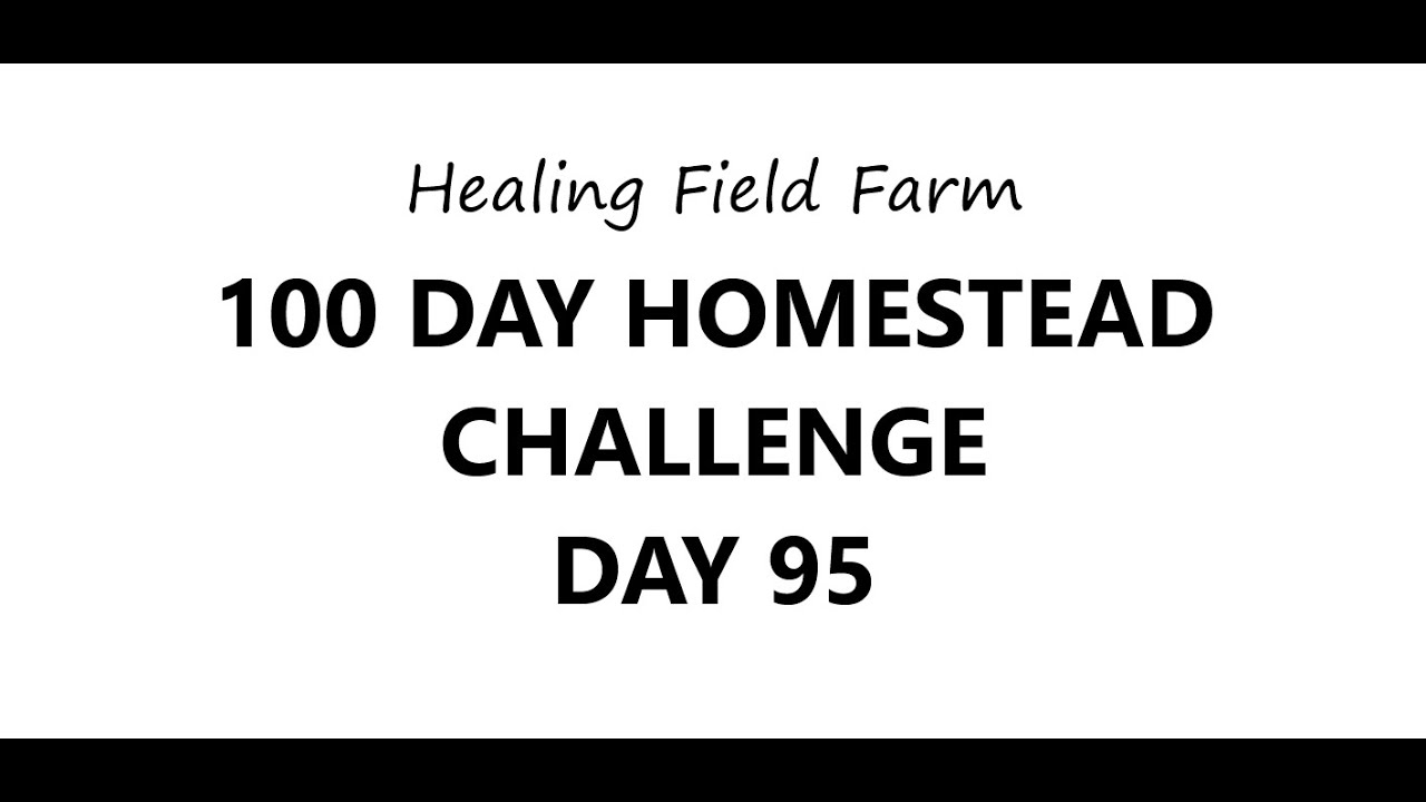 100 DAY HOMESTEAD CHALLENGE DAY 95, We got a well pump