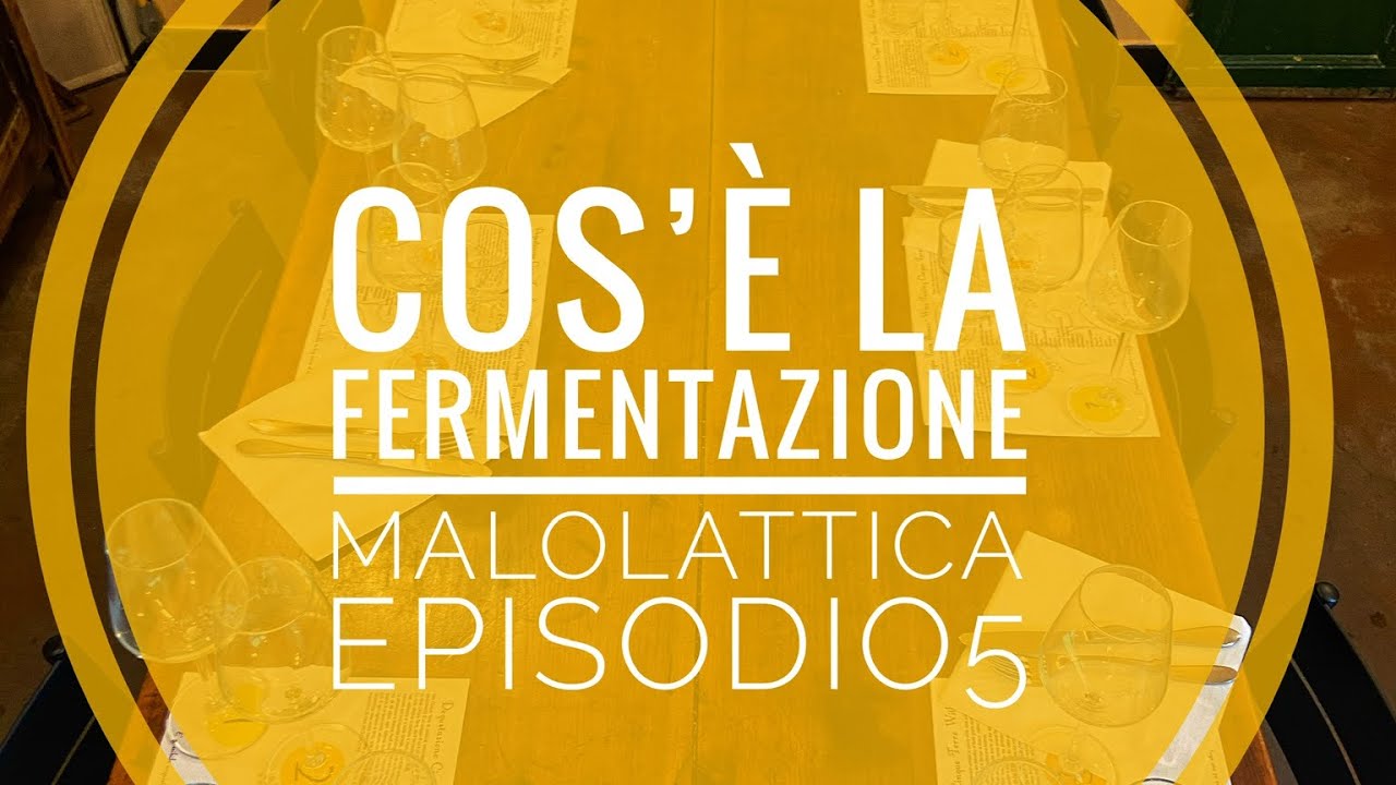 Episodio 5 fermentazione Malolattica