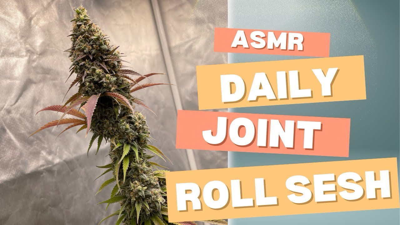 ASMR Easy King Size Joint!
