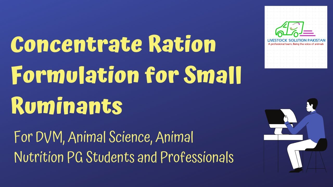 Ration formulation for Goat and Sheep| Goat feed ration | DVM Students | Animal Solution Pakistan
