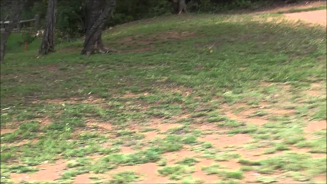 Hans Merensky Golf (attempt)