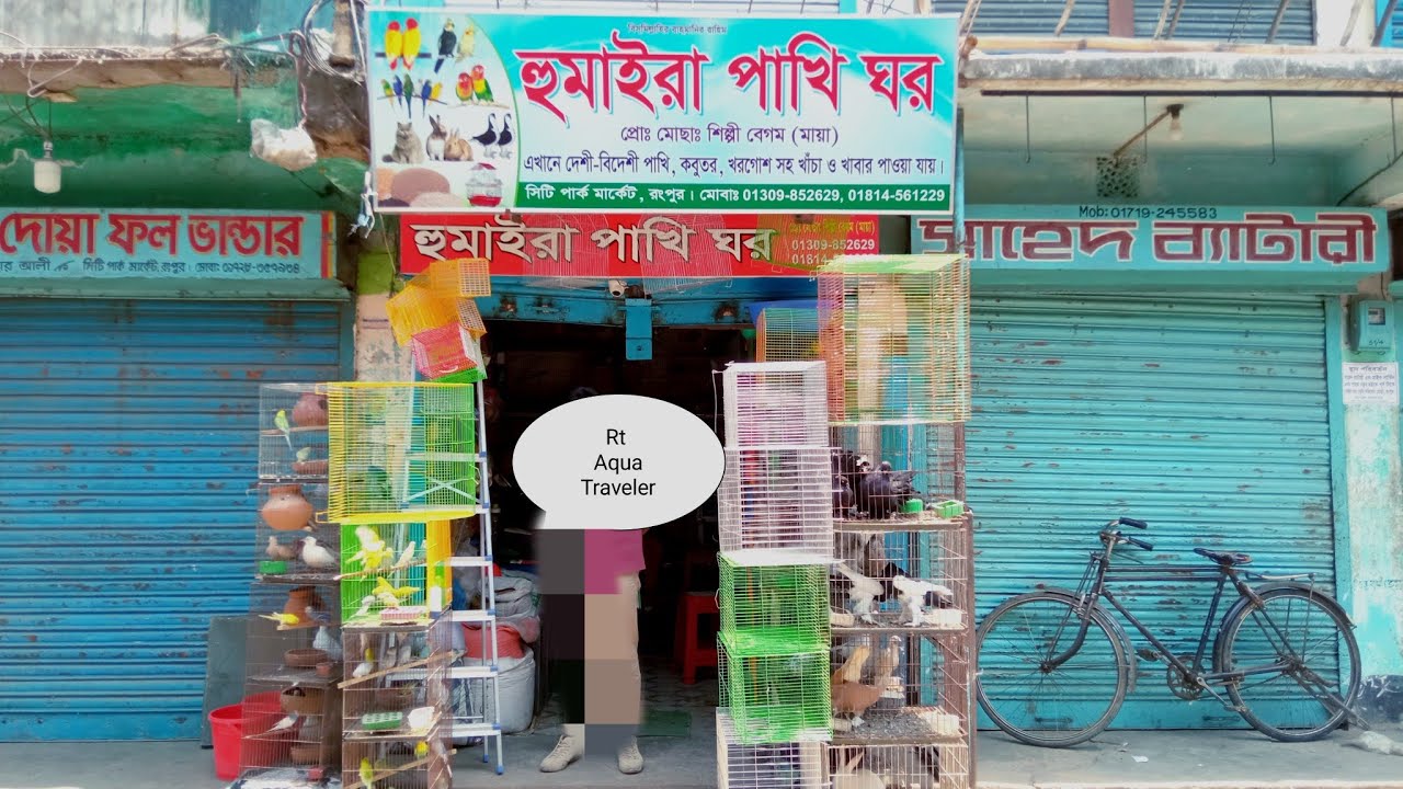 Rangpur bird shop | ‌Rangpur pakhir dam | Rangpur pakhir hat | Rt aqua traveler |