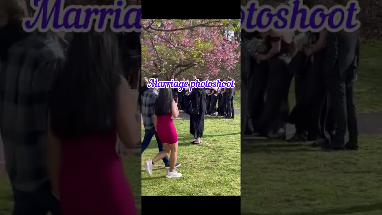 🤩America Cherry Blossom 🌸 Beauty of Nature🥰#americatamil #trending #americatamilvlogs #cherryblossom