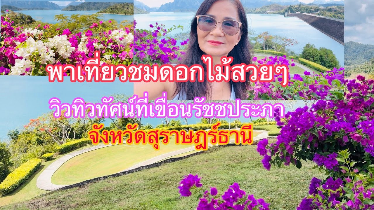 ep371 พาเที่ยวชมดอกไม้สวยๆวิวทิวทัศน์สวยมาก ที่เขื่อนรัชชประภา สุราษฎร์ธานีค่ะ