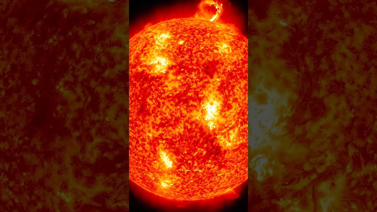 Sun nuclear fusion                          #science #sciencefacts