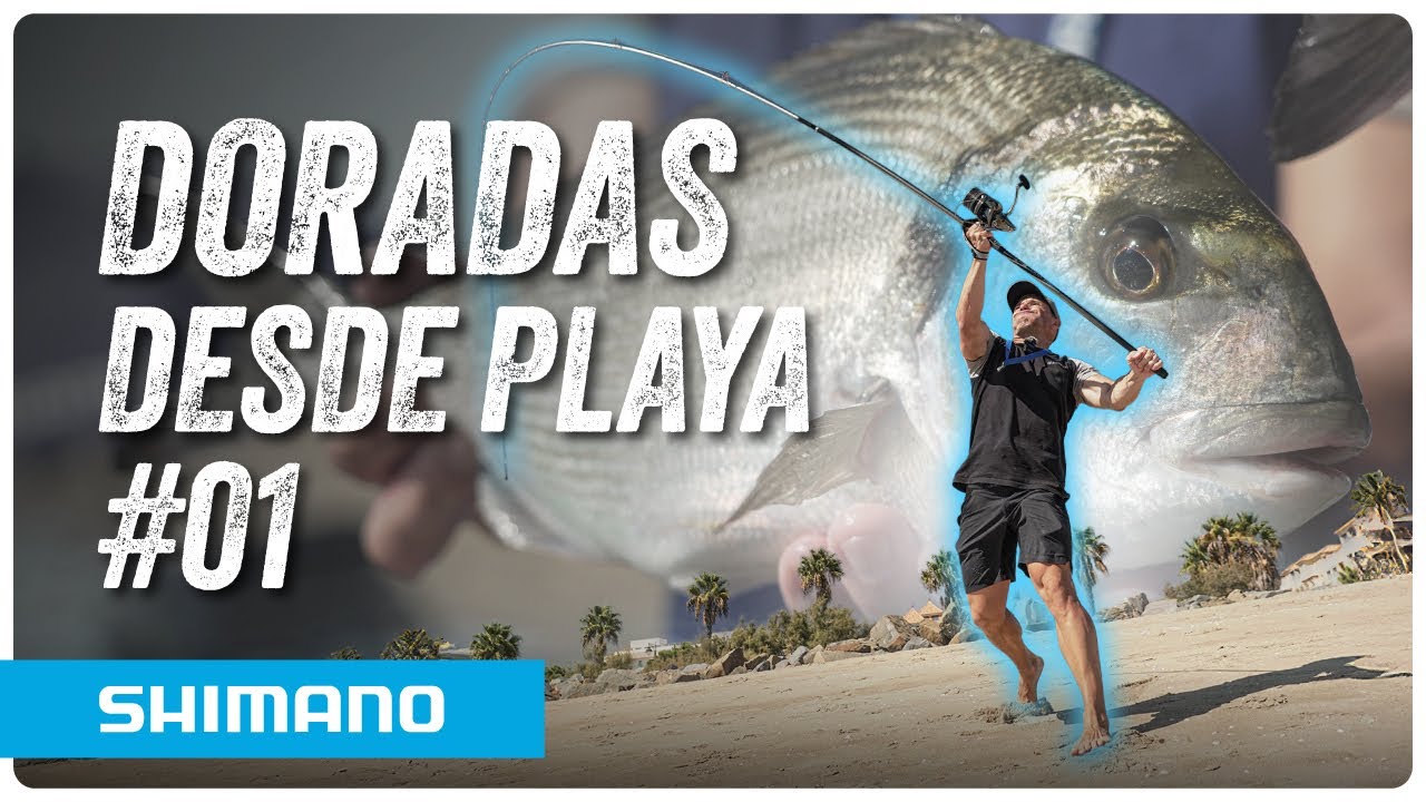 ✨SURFCASTING, DORADAS DESDE PLAYA #01 ✨